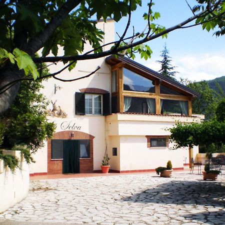 Agriturismo La Selva Rieti Luaran gambar